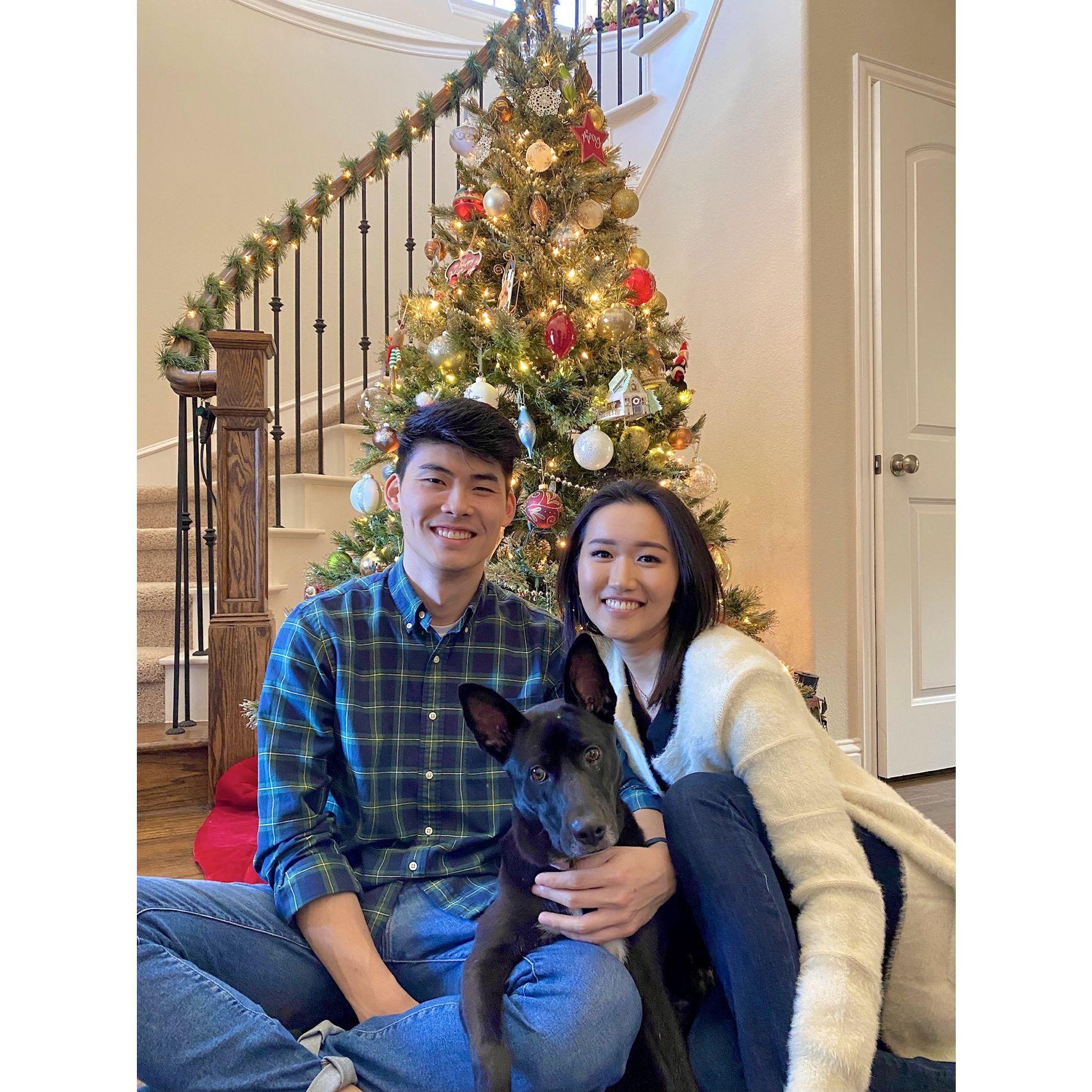 Dec 2020
First Christmas with Penny