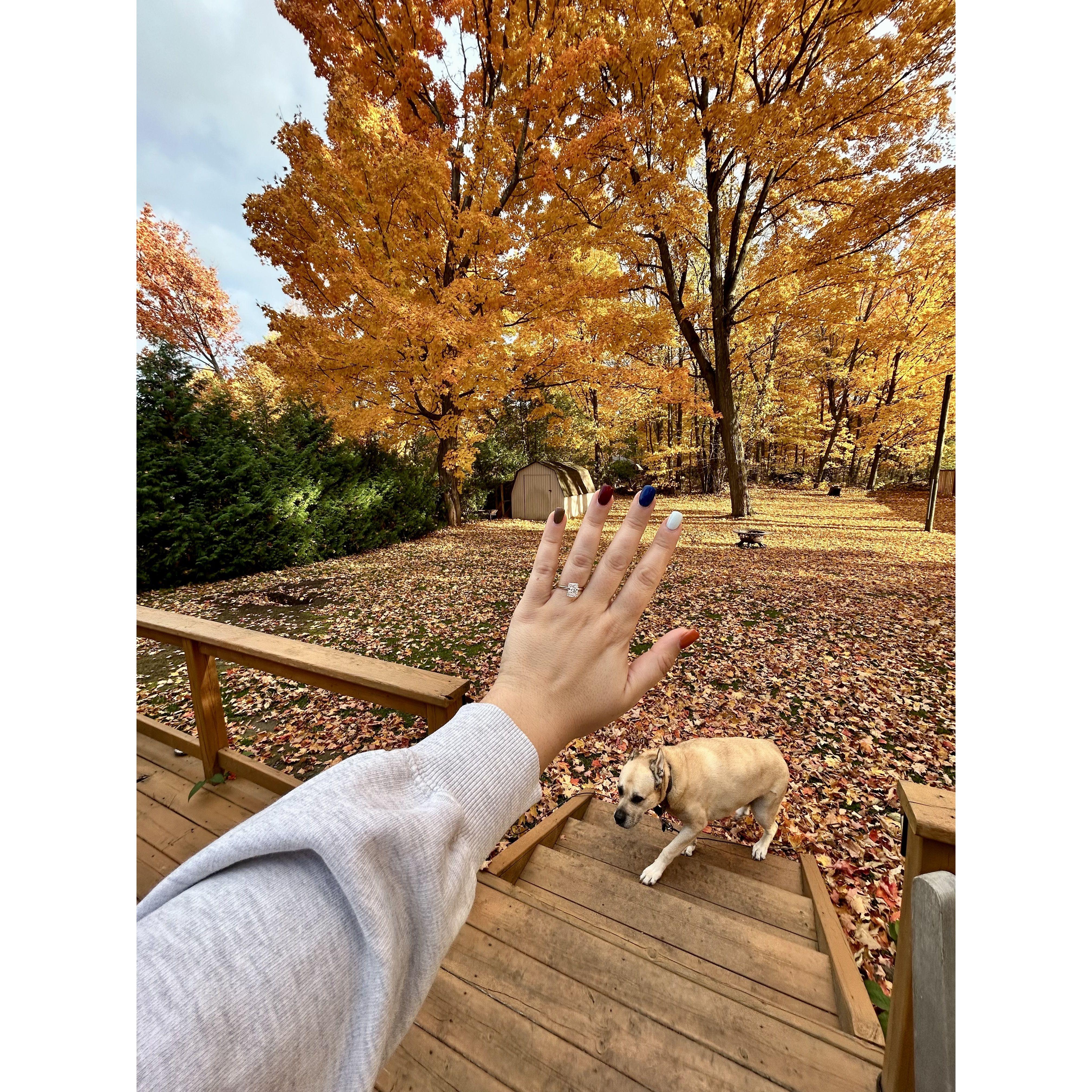 Fall is Alyssia's favourite season!