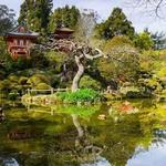 Golden Gate Park