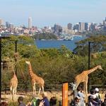 Taronga Zoo, Bradleys Head Rd