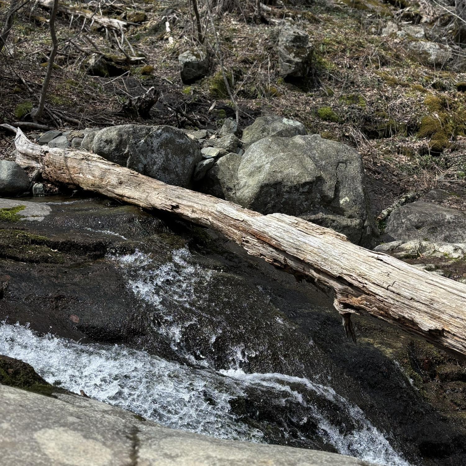 Hiking
