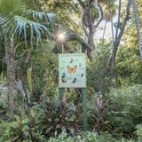 Crane Point Hammock Museum & Nature Center 🦋