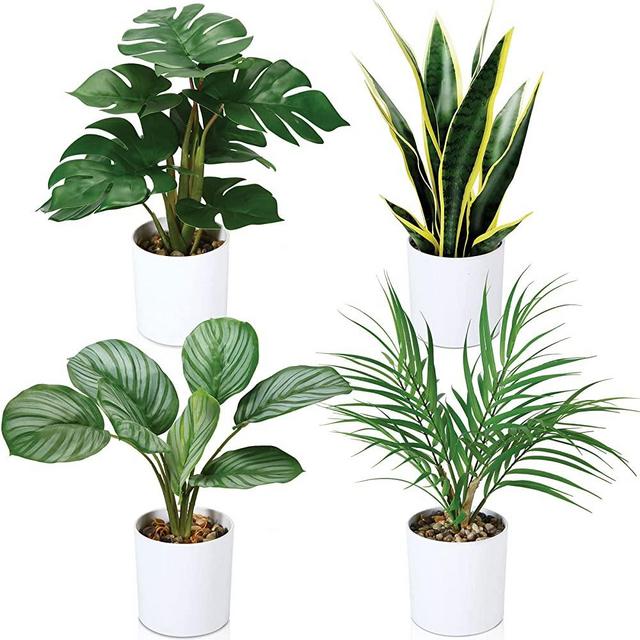 Kazeila 4 Pack Small Potted Fake Plants Artifical Snake Plant,Monstera Plant,Areca Palm and Prayer Plant,Faux Desk Plants for Indoor Decoration Perfect Housewarming Gift