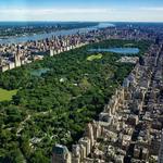 Central Park