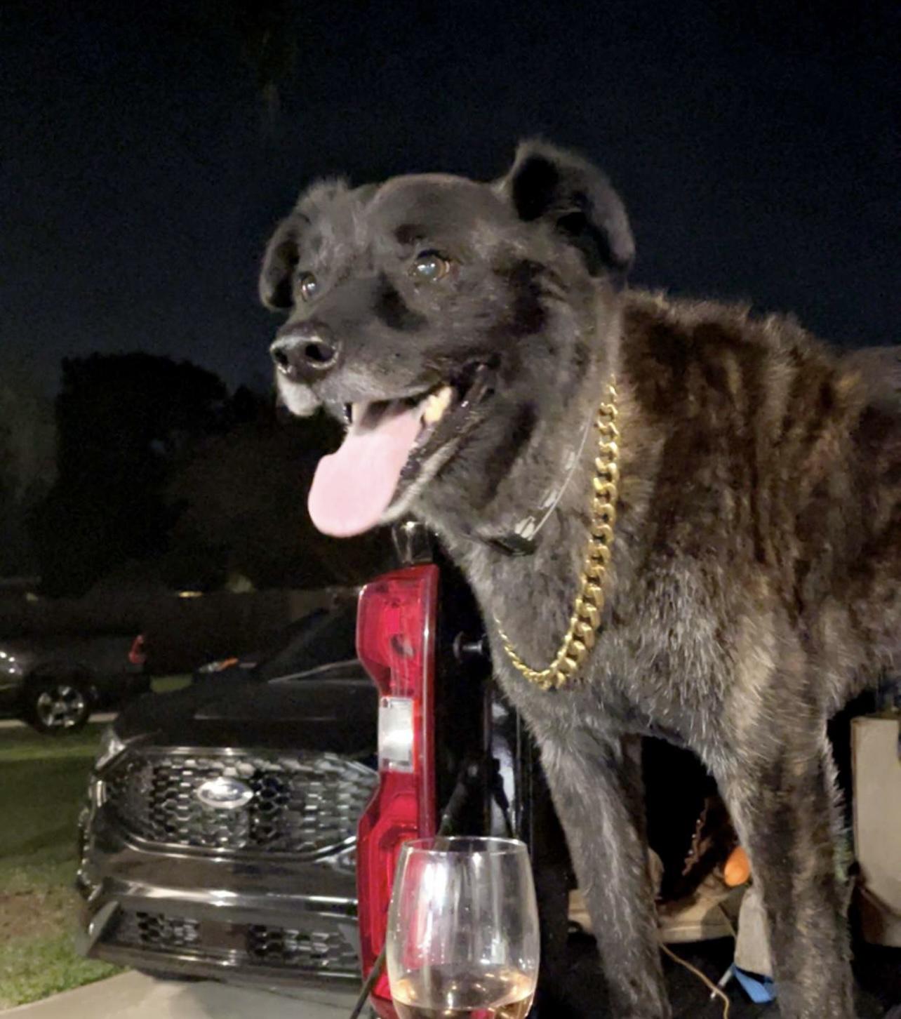 Lincoln will be making a guest appearance at the reception!