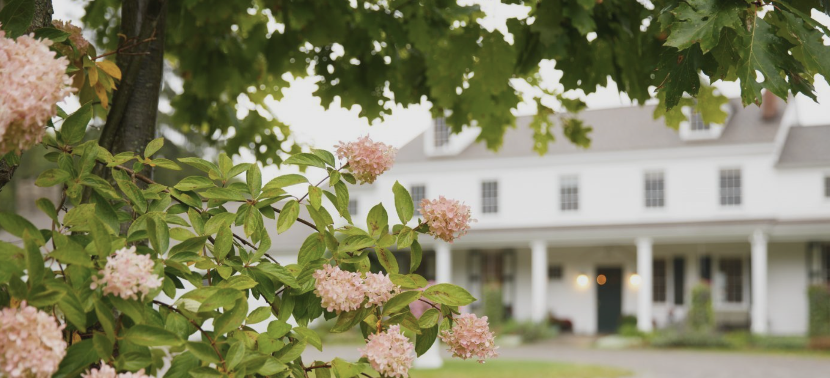 The Wedding Website of Anna Mack and Anthony LaLena