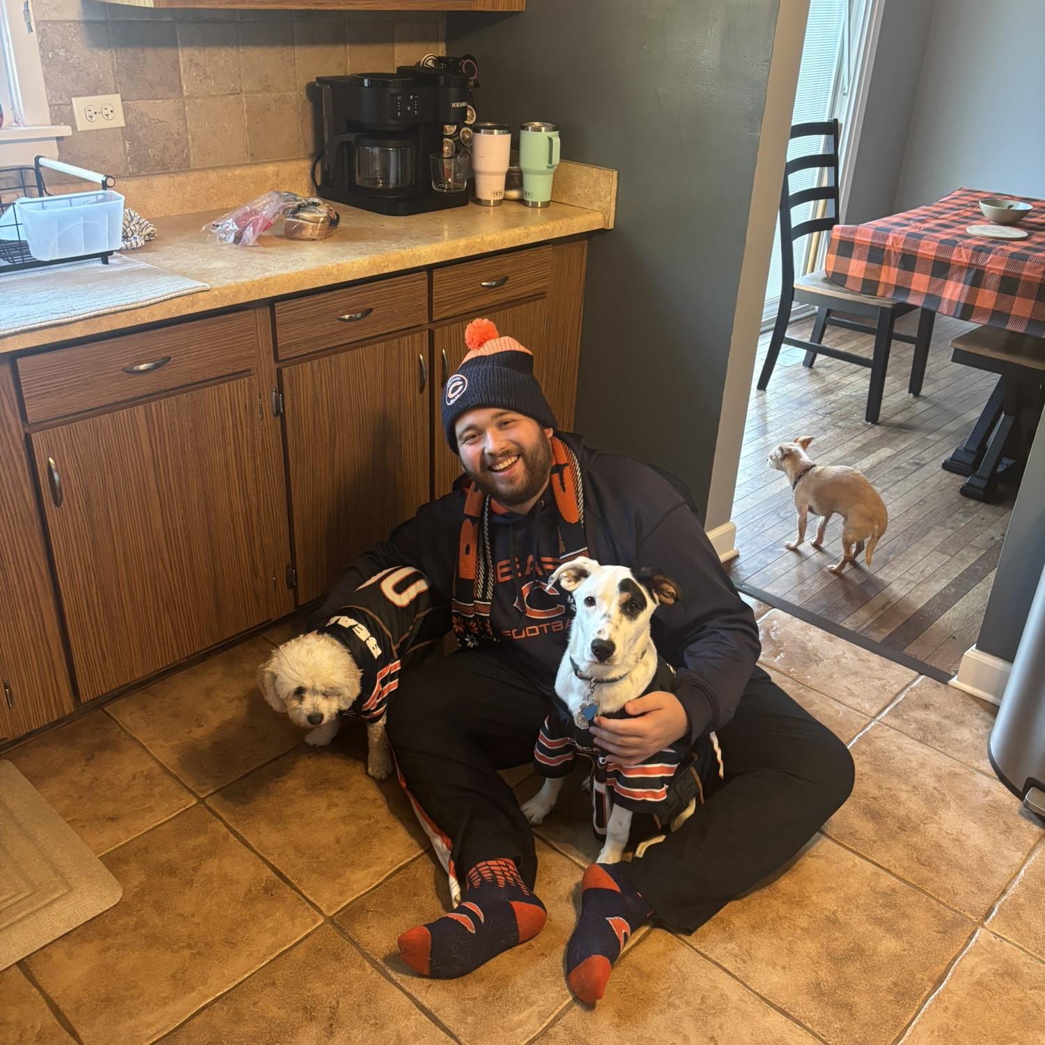 BEAR DOWN