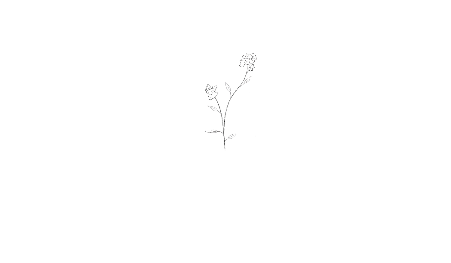 Footer image