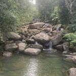 Hiking in El Yunque Rainforest