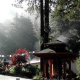 Land of Medicine Buddha