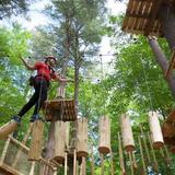 Treetop Trekking 1000 Islands