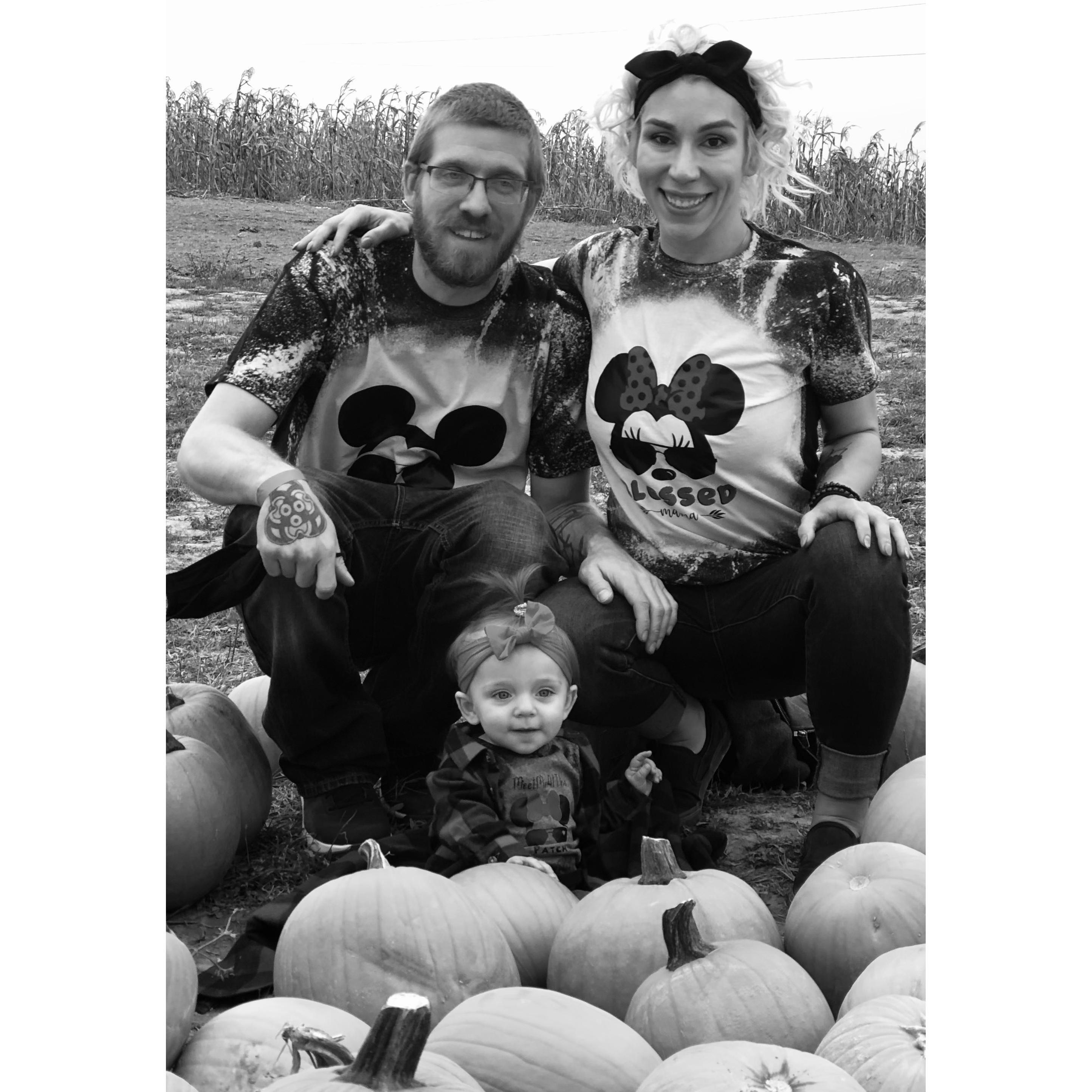 Pumpkin Patch 2020