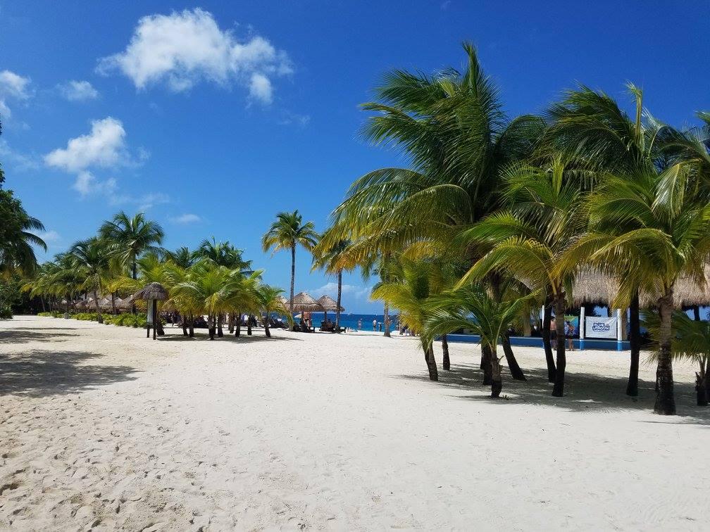 22ee907c-09a1-47ab-9557-201f95a3fb54