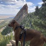 Chautauqua Park