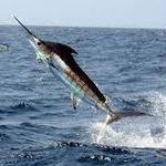 Hiking, fishing, and more...