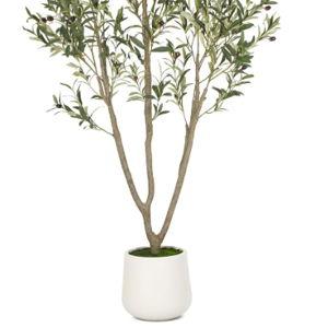 VIVATREES Olive Trees Artificial Indoor, 6FT Tall Faux Olive Tree with White Tall Planter, Artificial Plants with Natural Wood Trunk and Lifelike Fruits for Home Office Decor