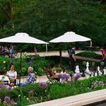 Drinks in the Garden Bar at the Rodin Museum