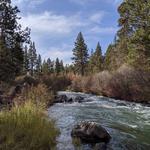 Riley Ranch Nature Reserve