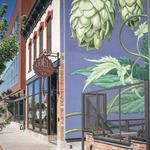 Brewery Hopping
