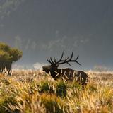 Moraine Park