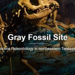 Gray Fossil Museum