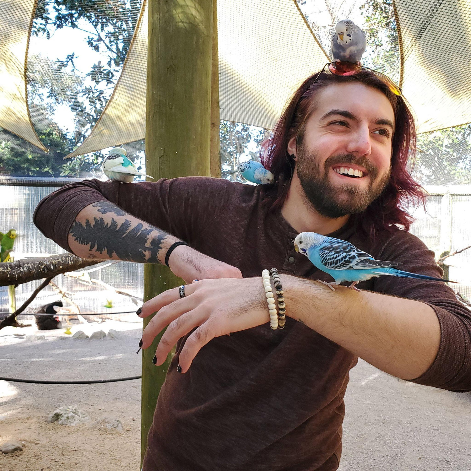 Marcel at the Gulf Breeze Zoo during one of Anna's visits