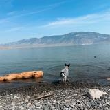 Buffalo Bill State Park & Reservoir
