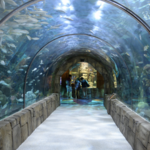 Audubon Aquarium of the Americas