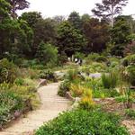 San Francisco Botanical Garden