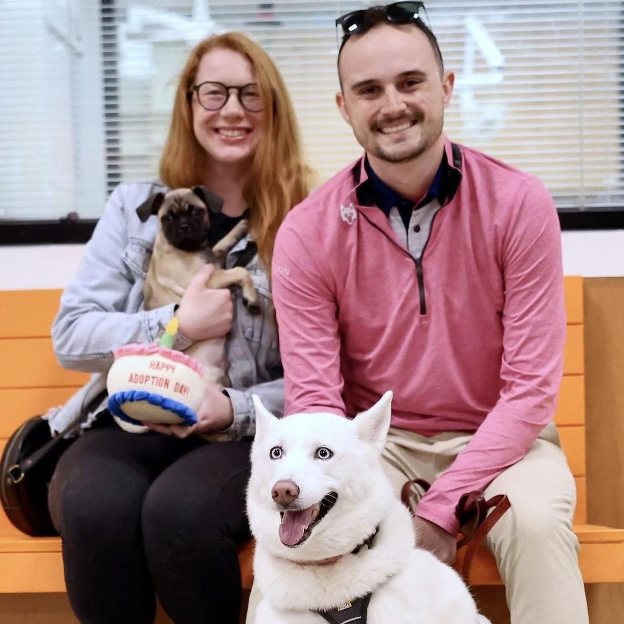 We brought home our newest addition, Gimli! A pug mix from Second City Canine Rescue in Palatine, IL. 5.31.2025