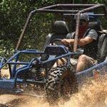 Wild Tiger Buggies