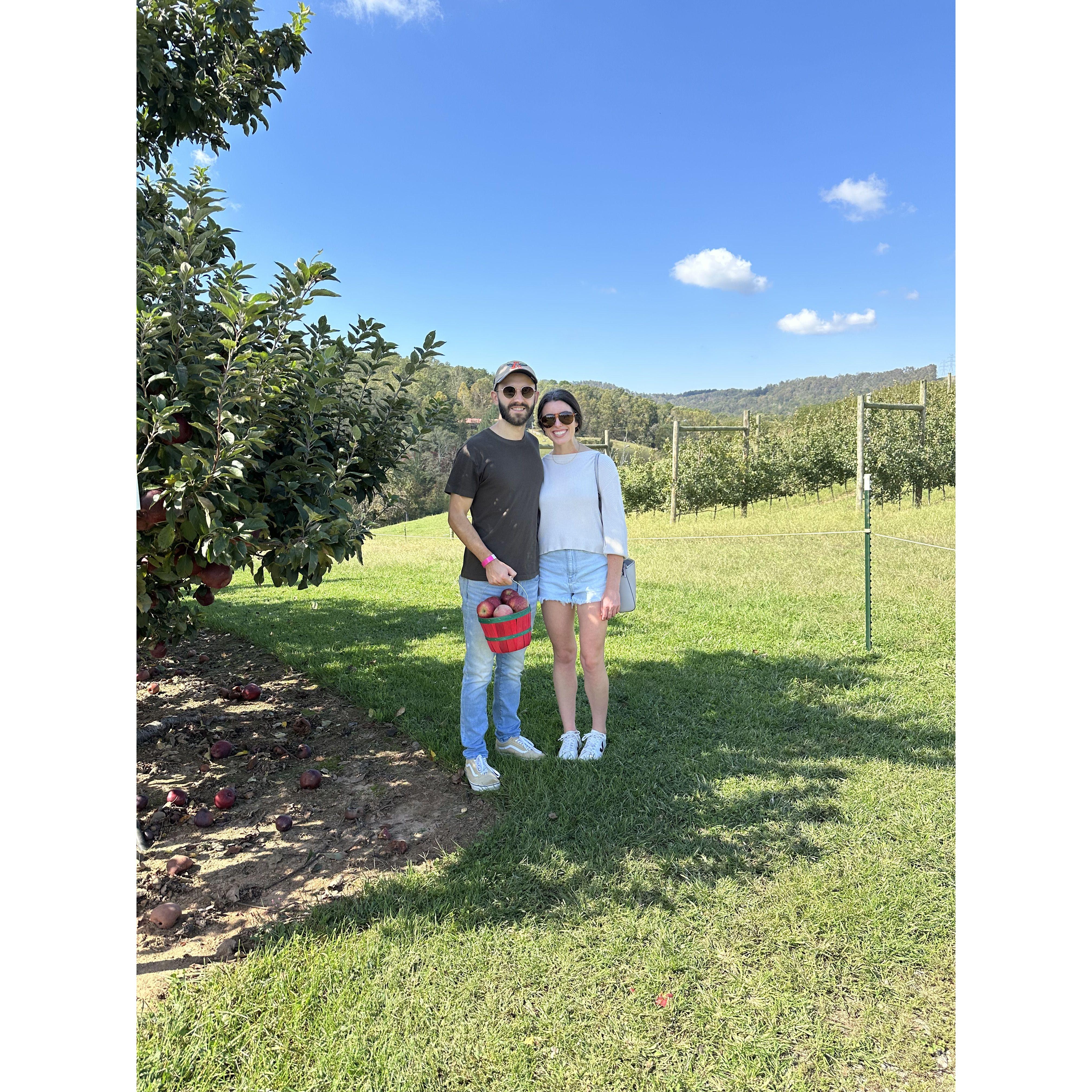 Apple Picking - Fall 2024