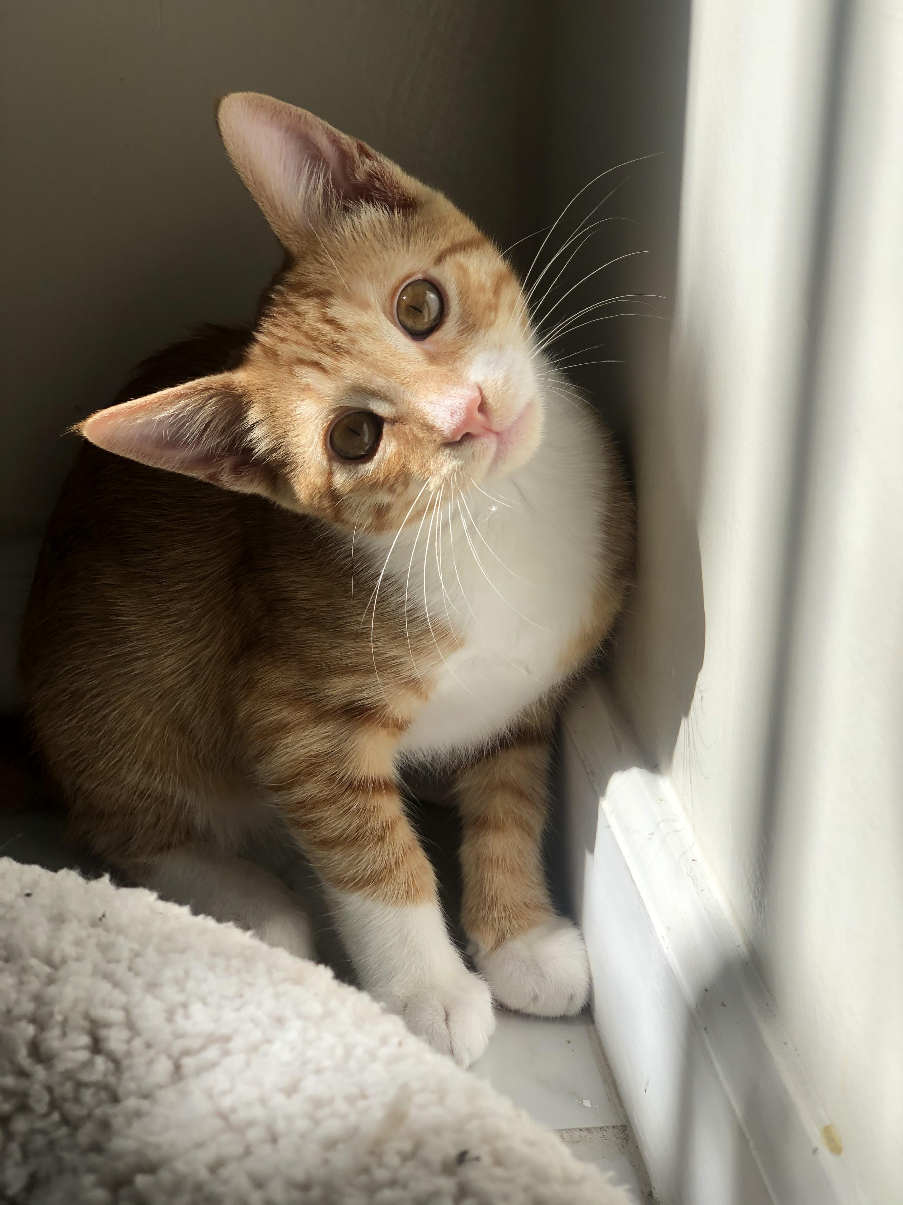 The Wedding Website of Karolina Brzyska and Adrian Mendez