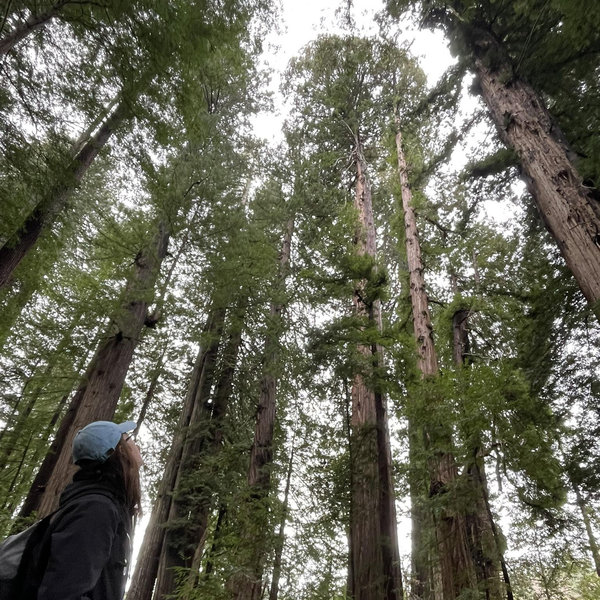 We <3 Accessibility and Nature