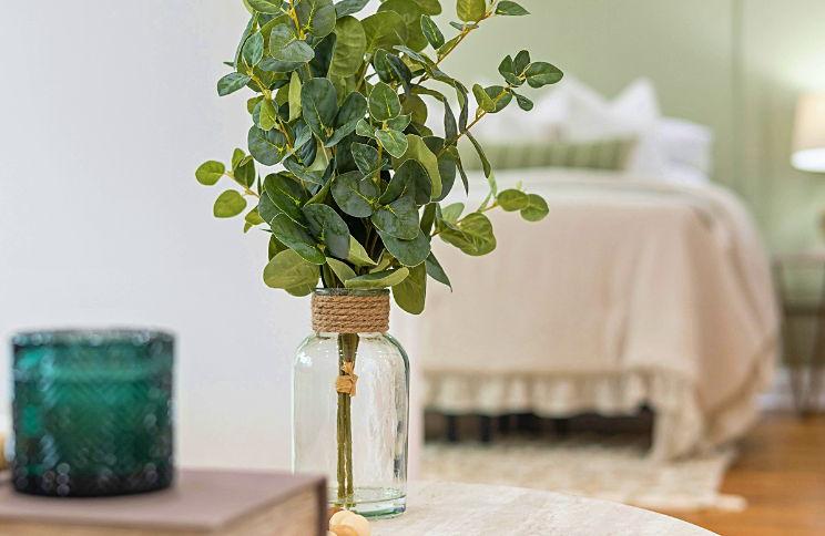 The Wedding Website of Alana Bauer and Dylan Jones