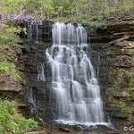 Cove Spring Park