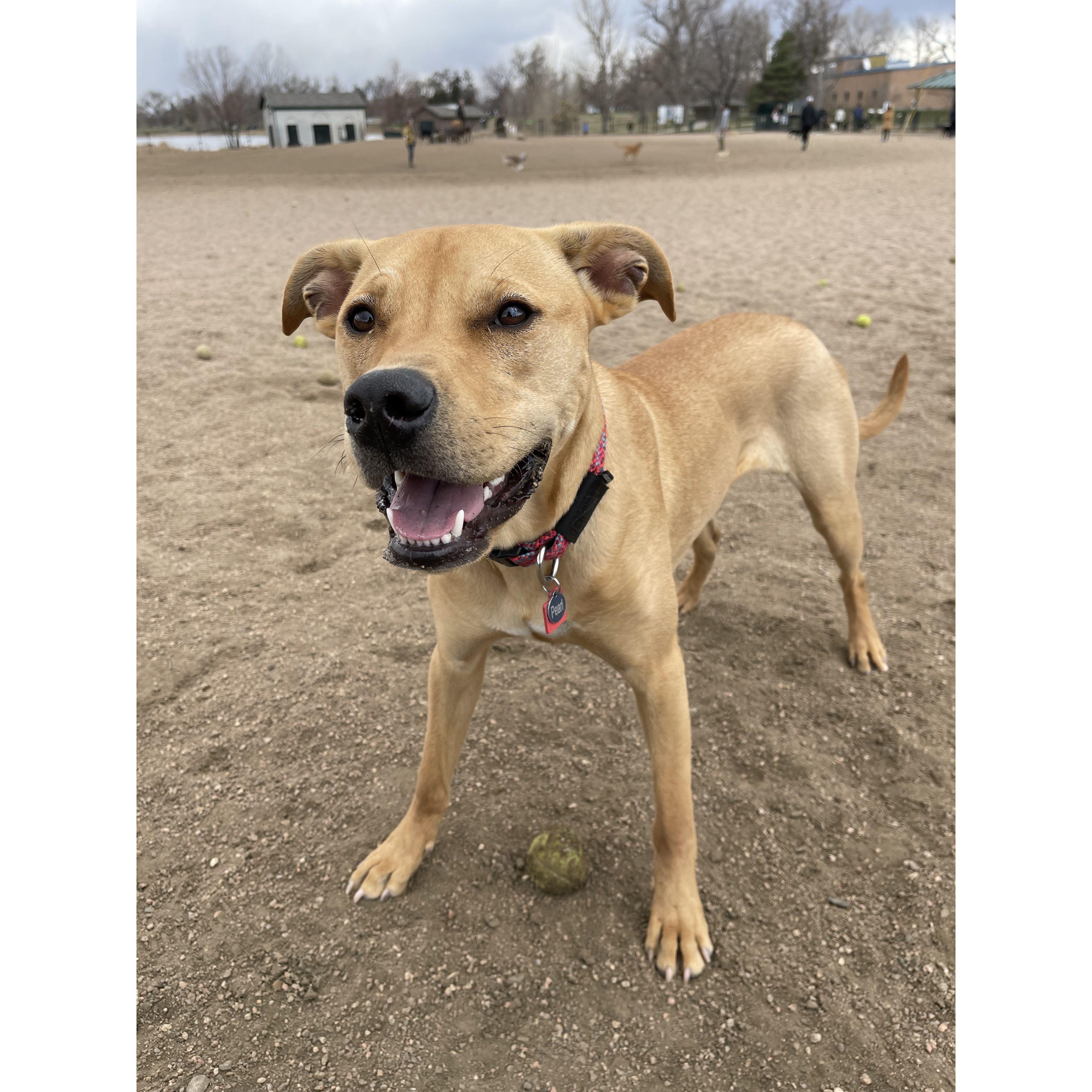 I'm so excited for the wedding or I'm playing ball at the dog park!