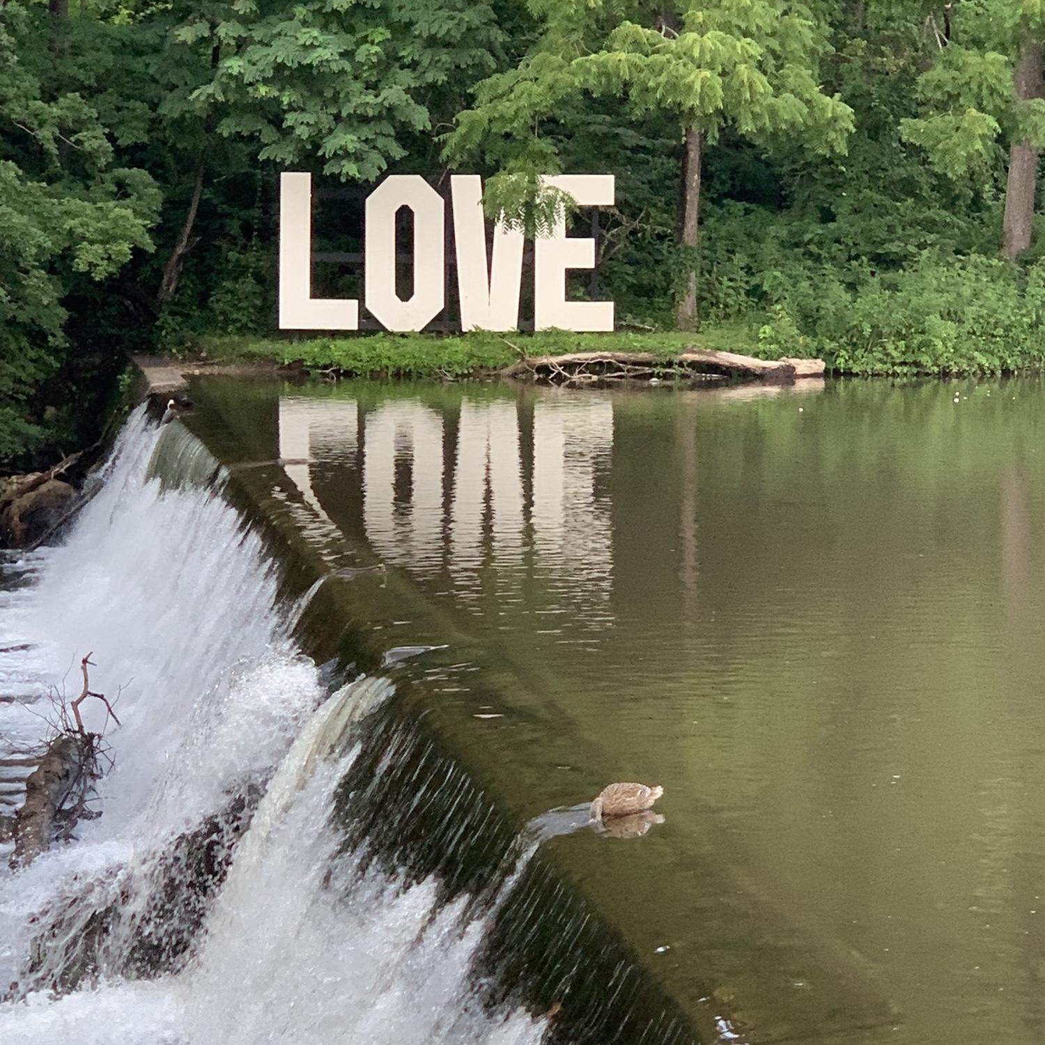 Dinner in Damascus, VA