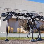 Museum of the Rockies