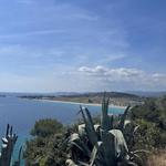 Viewpoint