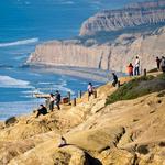 Torrey Pines State Beach