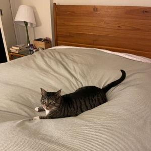 Help Us Buy a Mattress