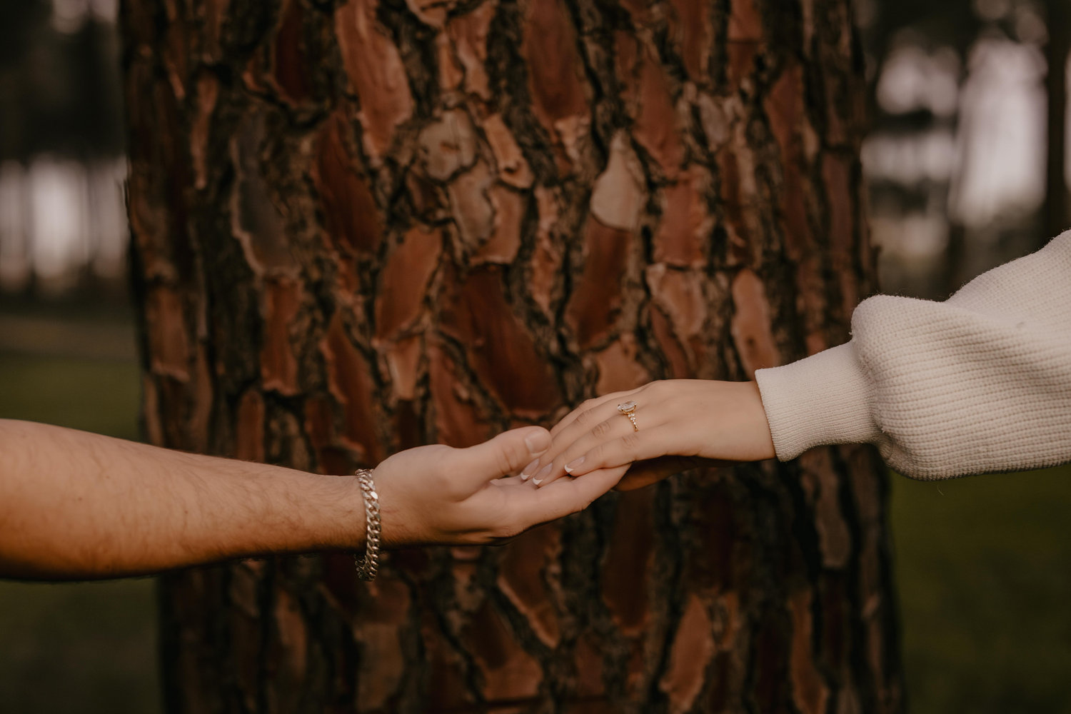 The Wedding Website of Jennifer Collom and Ben Munnings