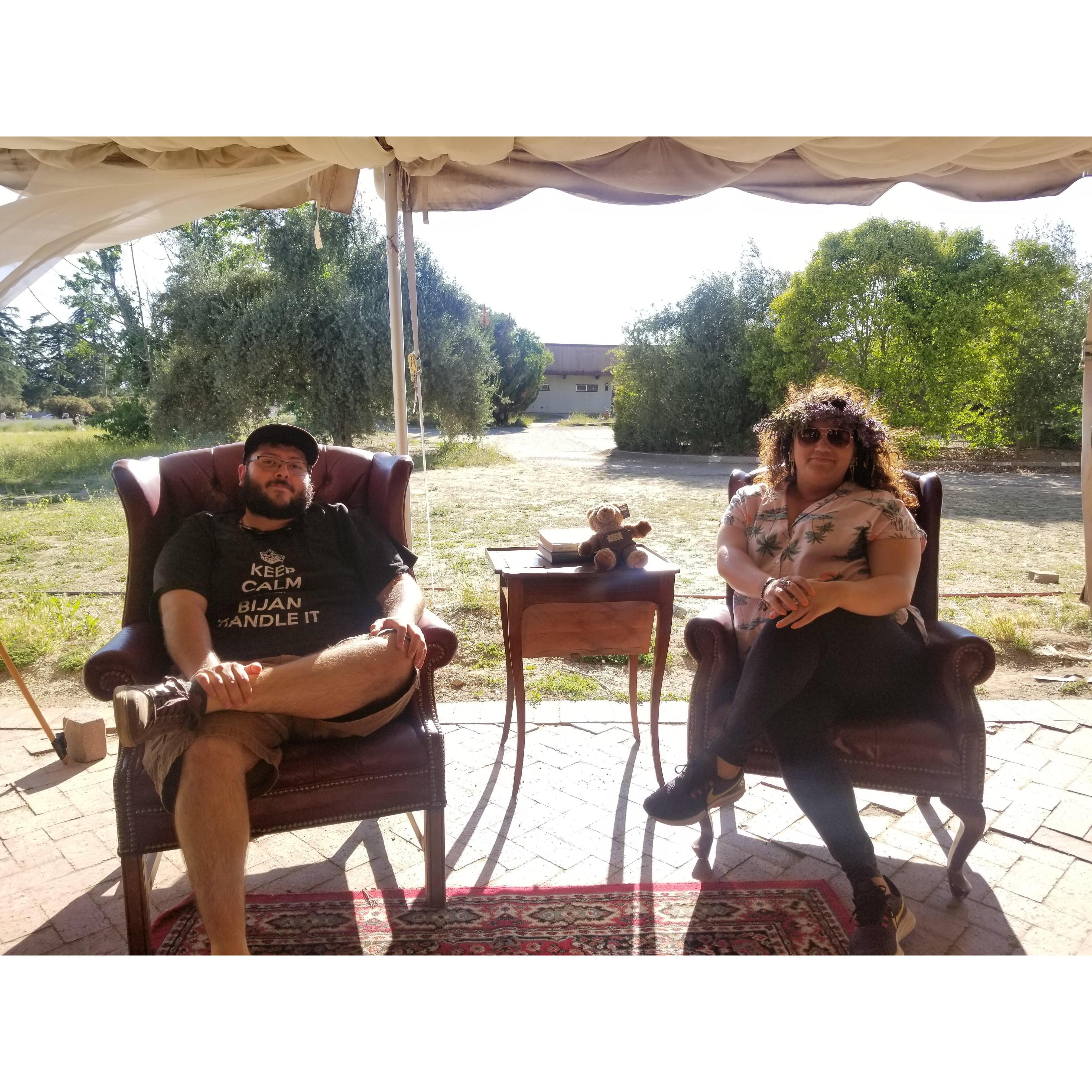 Lavender Fields 2019
