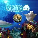 The Florida Aquarium
