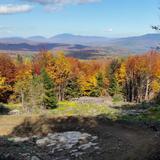 Green Woodlands Foundation - Mt bike trails
