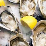 Midtown Oyster Bar