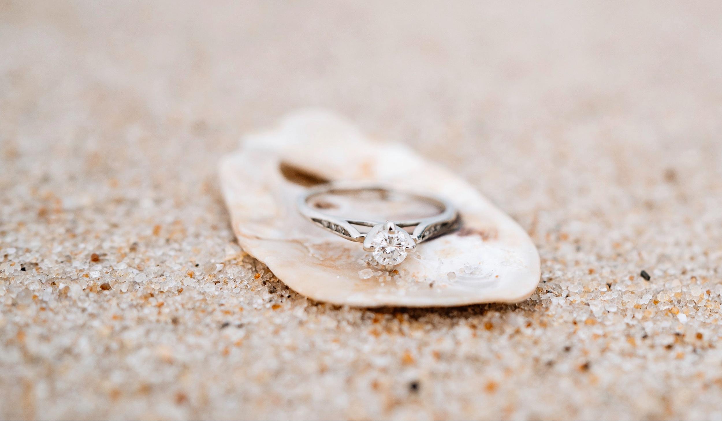 Hero Slideshow Image 4