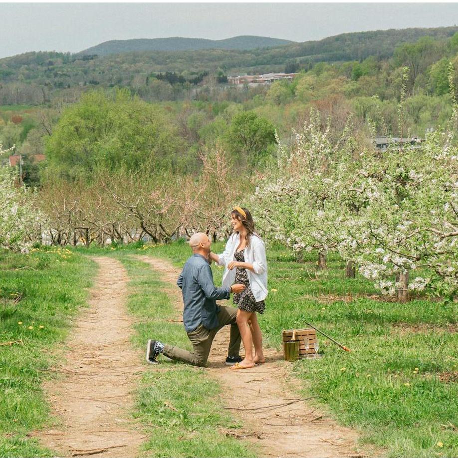 engaged pennings farm cidery -- warwick, ny