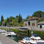 Ballard Locks